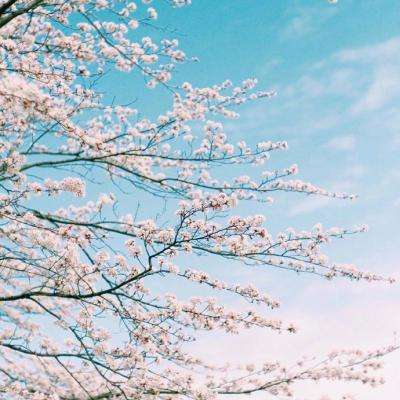 那只小马就是你